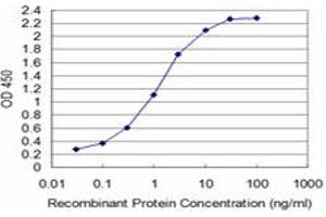 Detection limit for recombinant GST tagged T is approximately 0. (T Brachyury Protein (AA 222-320) antibody)