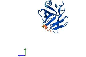 Protein Structure (PS) image for TRAF-Interacting Protein with Forkhead-Associated Domain, Family Member B (TIFAB) (AA 1-147) protein (His tag) (ABIN7559396)