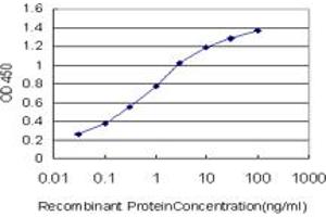 Detection limit for recombinant GST tagged SCN11A is approximately 0. (SCN11A antibody  (AA 1726-1791))