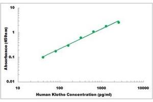 Representative Standard Curve (Klotho ELISA Kit)