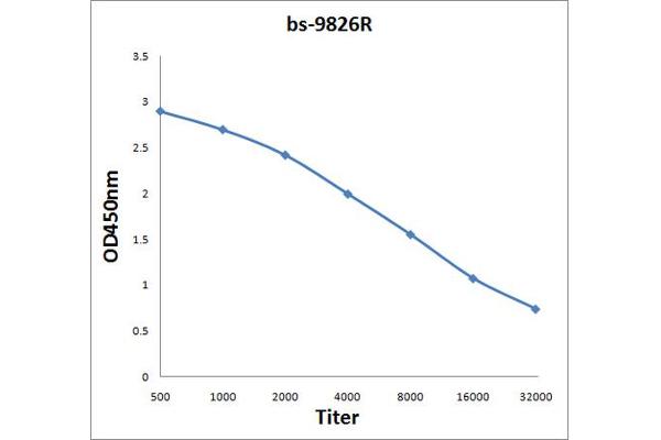 XXYLT1 antibody  (AA 120-165)