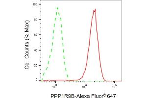 Flow cytometric analysis of PPP1R9B expression in HepG2 cells using PPP1R9B antibody (ABIN7800020), 1:2,000). (PPP1R9B antibody)