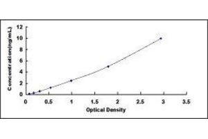 SMAD, Mothers Against DPP Homolog 7 (SMAD7) ELISA Kit