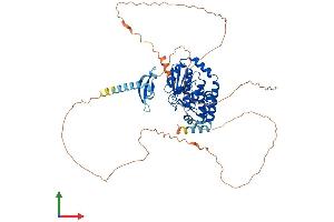 AlphaFold protein structure predicition of Mouse Recombinant Cdyl Protein, UniprotID Q9WTK2 (CDYL Protein (AA 1-593) (His tag))