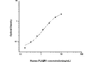 Typical standard curve (PLA2R1 ELISA Kit)