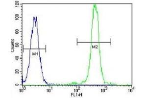 Flow Cytometry (FACS) image for anti-Fatty Acid Synthase (FASN) (AA 942-973) antibody (ABIN3030916)