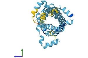 AlphaFold protein structure predicition of Mouse Recombinant Slc25a10 Protein, UniprotID Q9QZD8 (SLC25A10 Protein (AA 1-287) (His tag))