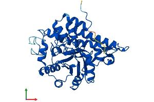 AlphaFold protein structure predicition of Mouse Recombinant Hao1 Protein, UniprotID Q9WU19 (HAO1 Protein (AA 1-370) (His tag))