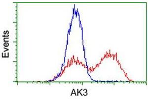 HEK293T cells transfected with either RC204408 overexpress plasmid (Red) or empty vector control plasmid (Blue) were immunostained by anti-AK3 antibody (ABIN2453882), and then analyzed by flow cytometry. (Adenylate Kinase 3 antibody)