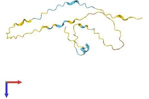 Family with Sequence Similarity 229, Member A (FAM229A) (AA 1-128) protein (His tag)