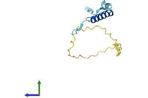 AlphaFold protein structure predicition of Human Recombinant ANAPC15 Protein, UniprotID P60006