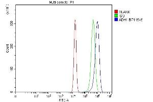 Flow Cytometry analysis of U20S cells using anti-ADH1A antibody (ABIN4886427).