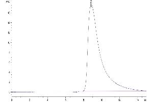 Size-exclusion chromatography-High Pressure Liquid Chromatography (SEC-HPLC) image for Tumor Necrosis Factor Receptor Superfamily, Member 10b (TNFRSF10B) (AA 56-182) protein (Fc Tag) (ABIN7274496)