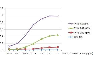 ELISA analysis of TNF alpha (0 - 4. (TNF alpha antibody)