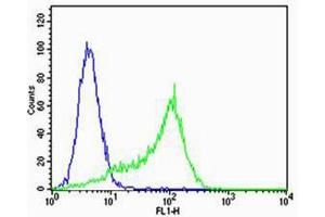 Flow Cytometry (FACS) image for anti-Membrane Protein, Palmitoylated 7 (MAGUK p55 Subfamily Member 7) (MPP7) (AA 2-36), (N-Term) antibody (ABIN5538750)