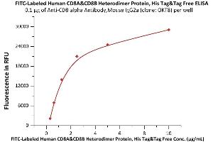 CD8 Protein (CD8) (AA 22-182) (His tag,FITC)
