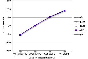 ELISA plate was coated with Mouse Anti-Rat IgG1-UNLB and quantified. (Rat IgG2c Isotype Control)