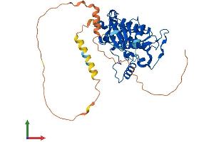 AlphaFold protein structure predicition of Human Recombinant CSNK1E Protein, UniprotID P49674 (CK1 epsilon Protein (AA 1-416) (His tag))