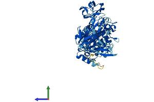 Protein Structure (PS) image for Transglutaminase 4 (Prostate) (TGM4) (AA 1-684) protein (His tag) (ABIN7544373)