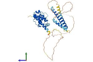 AlphaFold protein structure predicition of Mouse Recombinant Cep44 Protein, UniprotID Q5HZK1