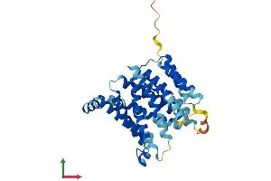 AlphaFold protein structure predicition of Mouse Recombinant Slc35a3 Protein, UniprotID Q8R1T4