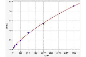 Carbohydrate Antigen 242 (CA242) ELISA Kit