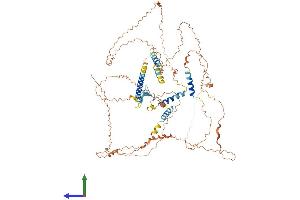 AlphaFold protein structure predicition of Human Recombinant HJURP Protein, UniprotID Q8NCD3 (HJURP Protein (AA 1-748) (His tag))