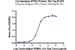 Tumor Necrosis Factor (Ligand) Superfamily, Member 13 (TNFSF13) (AA 112-250), (Trimer) protein (His-Avi-DYKDDDDK Tag)