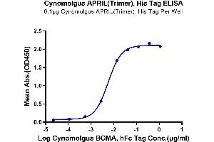 Immobilized Cynomolgus APRIL(Trimer), His Tag at 1 μg/mL (100 μL/well) on the plate. (TNFSF13 Protein (Trimer) (His-Avi-DYKDDDDK Tag))