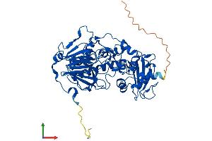AlphaFold protein structure predicition of Human Recombinant CMAHP Protein, UniprotID Q9Y471 (Cmah Protein (AA 1-501) (His tag))