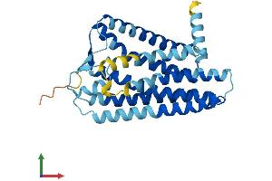 AlphaFold protein structure predicition of Human Recombinant OR2M4 Protein, UniprotID Q96R27