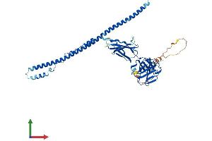AlphaFold protein structure predicition of Human Recombinant FSD1 Protein, UniprotID Q9BTV5 (FSD1 Protein (AA 1-496) (His tag))