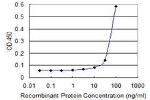 ELISA image for anti-Angiopoietin-Like 5 (ANGPTL5) (AA 1-388) antibody (ABIN566980)