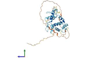AlphaFold protein structure predicition of Human Recombinant ZNF444 Protein, UniprotID Q8N0Y2