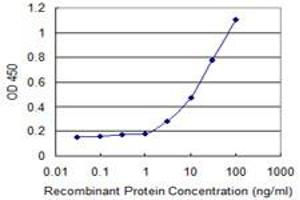 Detection limit for recombinant GST tagged AKT1 is 1 ng/ml as a capture antibody. (AKT1 antibody  (AA 1-480))
