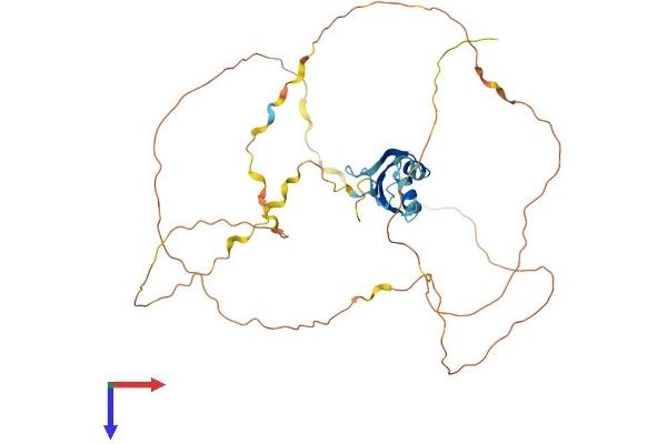 RBMX Protein (AA 1-391) (His tag)