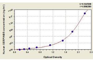 SERPINB5 ELISA Kit