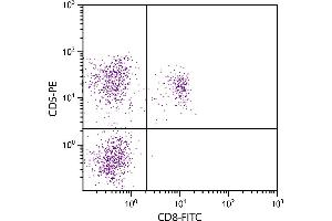 Feline peripheral blood lymphocytes were stained with Mouse Anti-Feline CD5-PE. (CD5 antibody  (PE))