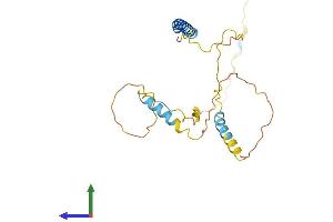 AlphaFold protein structure predicition of Mouse Recombinant Bnip3l Protein, UniprotID Q9Z2F7