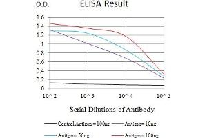 Black line: Control Antigen (100 ng),Purple line: Antigen (10 ng), Blue line: Antigen (50 ng), Red line:Antigen (100 ng) (DCL1 antibody  (AA 23-168))