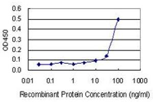 Detection limit for recombinant GST tagged ADAMTS3 is 3 ng/ml as a capture antibody. (ADAMTS3 antibody  (AA 1048-1128))