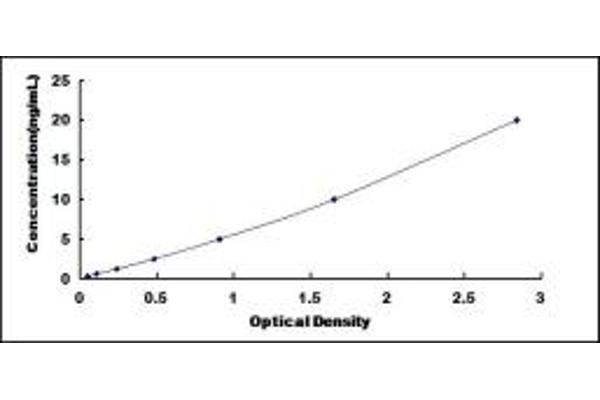 CTBP2 ELISA Kit