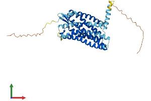 AlphaFold protein structure predicition of Mouse Recombinant Ccr3 Protein, UniprotID P51678