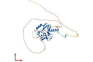 AlphaFold protein structure predicition of Mouse Recombinant Kmt5a Protein, UniprotID Q2YDW7 (SETD8 Protein (AA 1-349) (His tag))