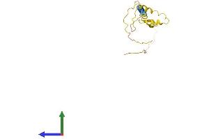 Protein Structure (PS) image for Neuron-Specific Protein Family Member 2 (HMP19) (AA 1-171) protein (His tag) (ABIN7563291)