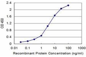 Detection limit for recombinant GST tagged FXN is approximately 0. (Frataxin antibody  (AA 91-200))