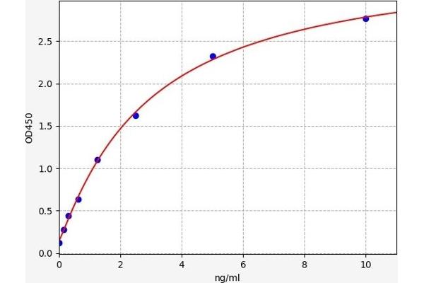 CTNND1 ELISA Kit