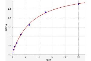 Typical standard curve (CTNND1 ELISA Kit)