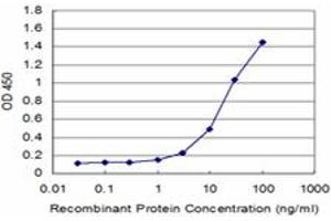 Detection limit for recombinant GST tagged SNCB is approximately 1ng/ml as a capture antibody. (beta Synuclein antibody  (AA 1-65))