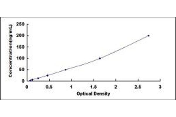 Lactate Dehydrogenase C ELISA Kit